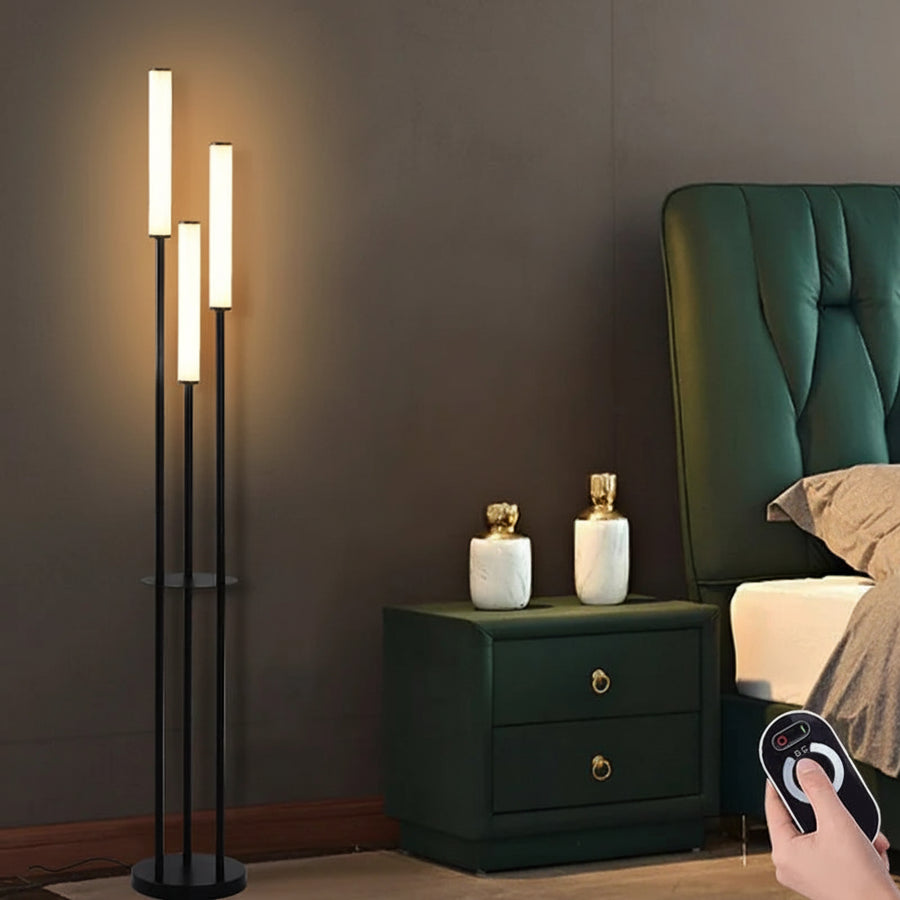 LED Shelf Floor Lamp - Dimmable Standing Light with Remote