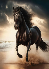 Black and White Wild Horses Canvas Wall Art - Modern Animal Print