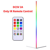 RGB LED Corner Floor Lamp - Atmospheric Standing Light