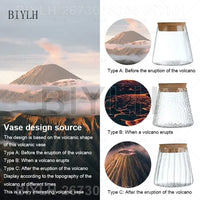 Transparent Glass Hydroponic Vase Set - Modern Planter with Base Tray