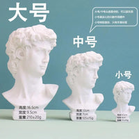David Portrait Decorative Vase - Artistic Head Planter Accent