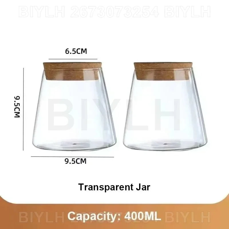 Transparent Glass Hydroponic Vase Set - Modern Planter with Base Tray