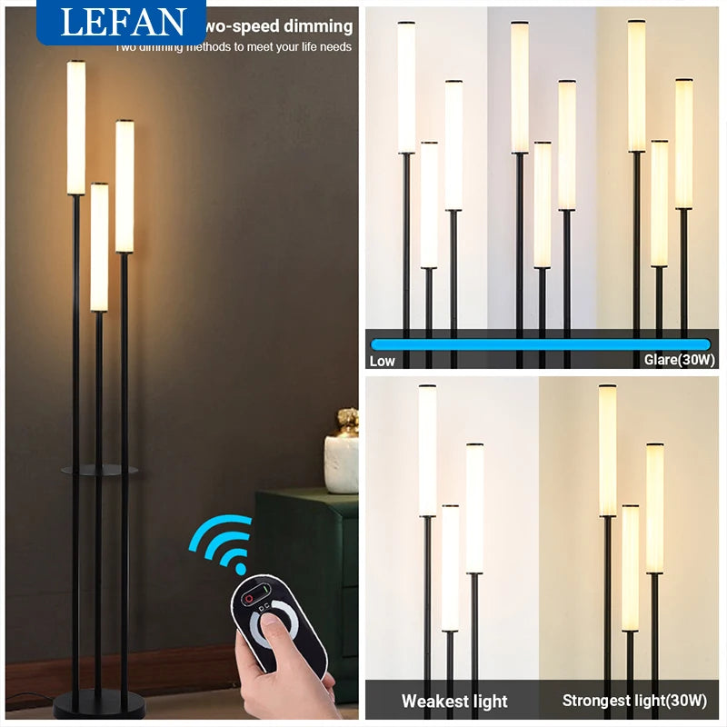 LED Shelf Floor Lamp - Dimmable Standing Light with Remote
