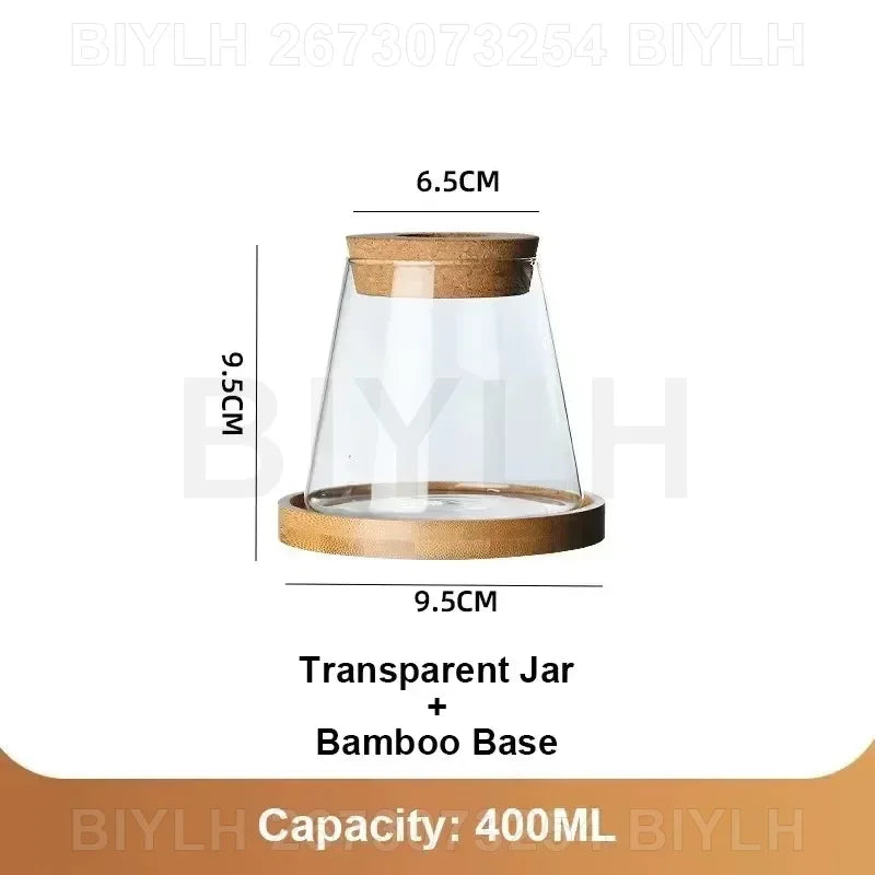 Transparent Glass Hydroponic Vase Set - Modern Planter with Base Tray